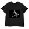 Lace Monitor (Varanus Varius) Goanna T-Shirt Aesthetic Clothing Man Clothes Blanks Valentines Boutique Clothes T Shirts Men