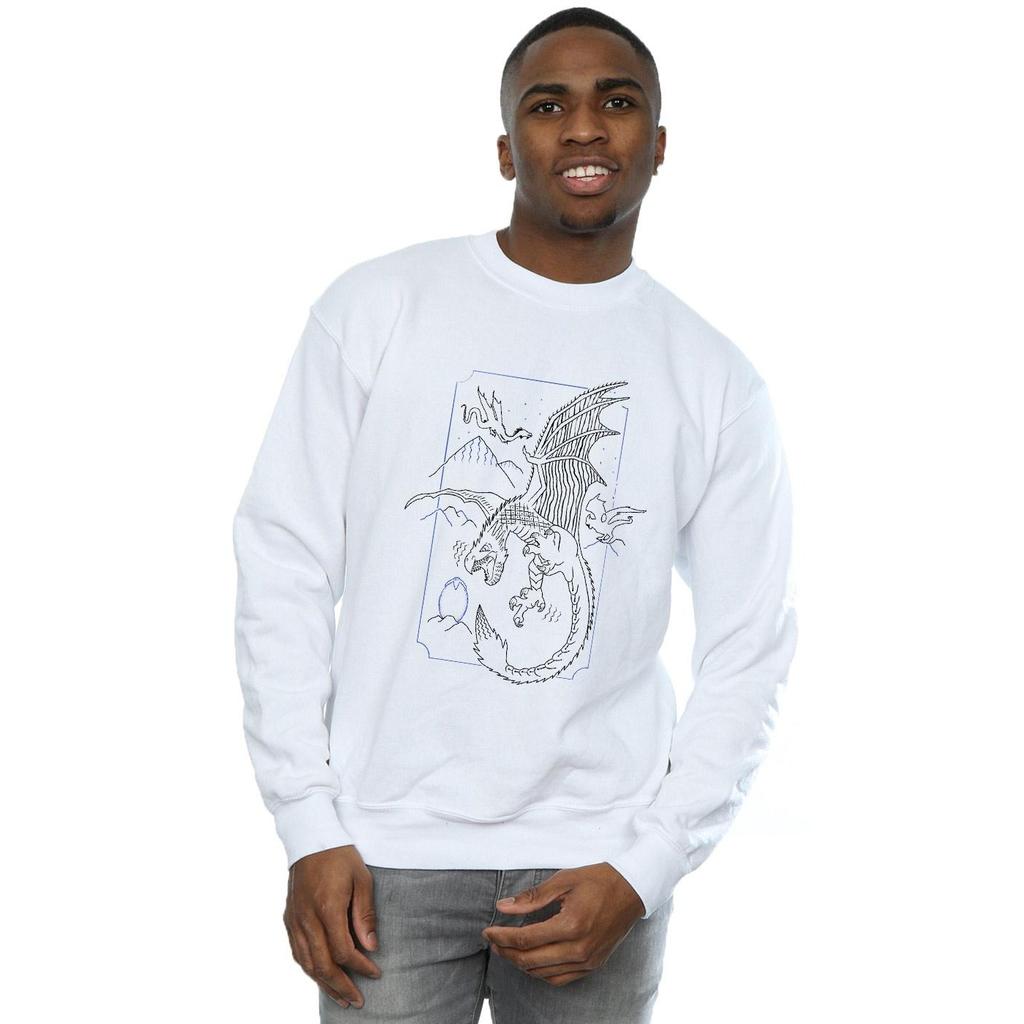 HARRY POTTER Herren Dragon Line Art Sweatshirt