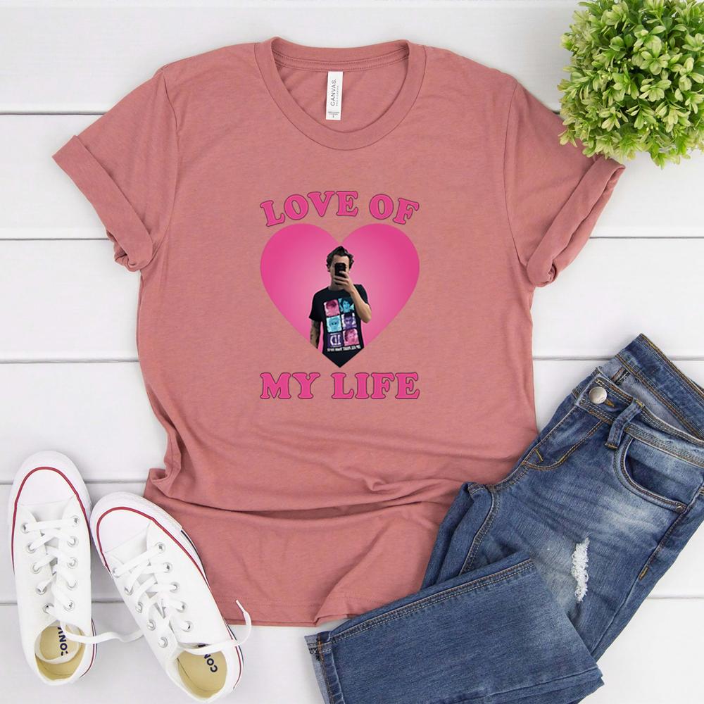 Love of My Life HS Graphic Tee TPWK Pleasing Tshirt Love On Tour Shirt HS Selfie Y2k 90s Harajuku Tshirt Cute As It Was Tshirt