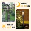 Omen Solar Lights, Outdoor Garden Lights, [Set of 8] Waterproof IP65 3000K Fashionable Solar Tungsten Lamps, Bright LED Lighting with Auto OnOff,