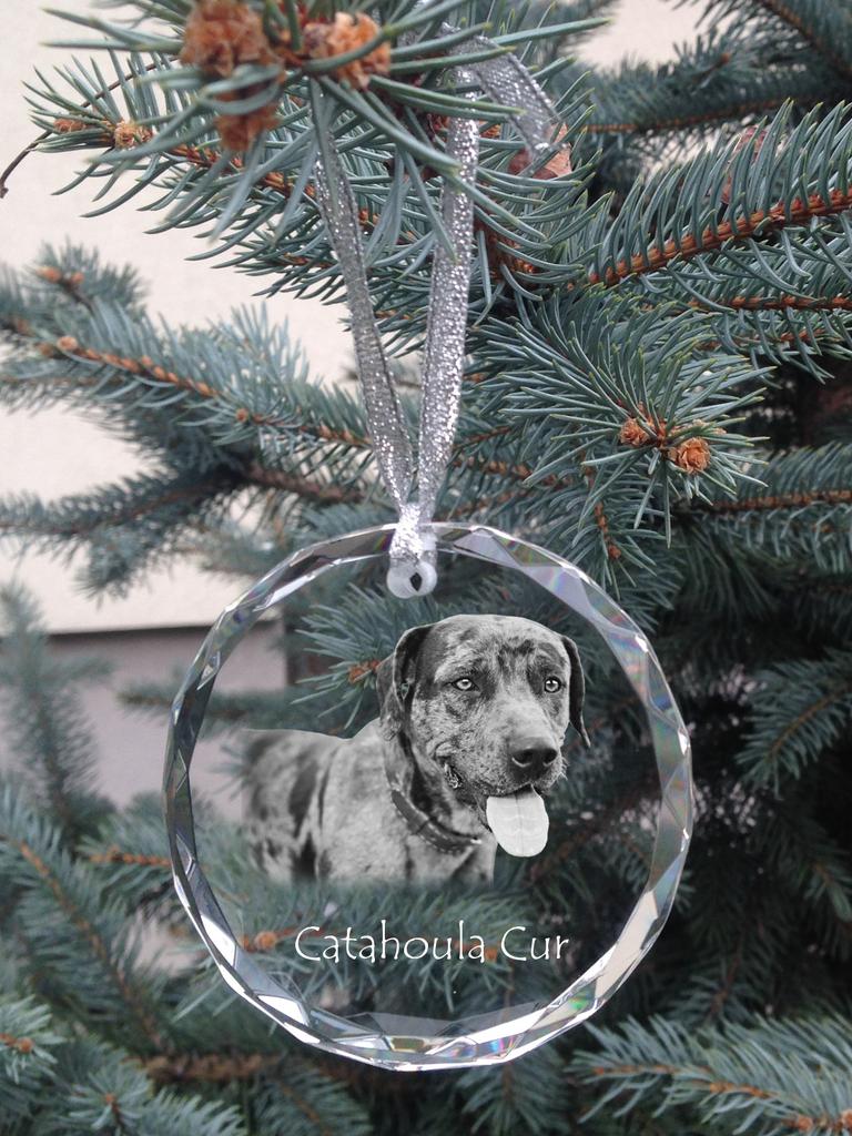 Catahoula Leopard Dog, Catahoula Cur - crystal bauble with a photo, dog photo in crystal, personalized Christmas tree ornament by Art-Dog brand