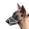 Cães – Produtos para treino de animais