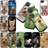Casing for Apple iPhone 12 13 Pro Max Mini ProMax X XR Air 13Pro XS Phone Cover Soft Case Yorkshire Terrier Yorkie Dachshund Dog