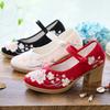 High Heels Women's Shoes Square Heel Light Mouth Round Head Embroidery Sexy and Thin Nightclub Single Shoes Wedding Shoes