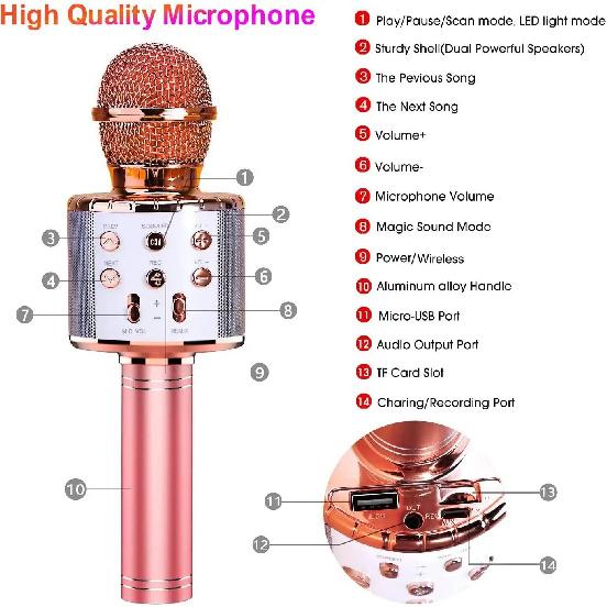 Amazmic Karaoke-Mikrofon für Erwachsene, Kabelloses Bluetooth-Mikrofon zum Singen, Tragbare Karaoke-Maschine mit LED-Leuchten
