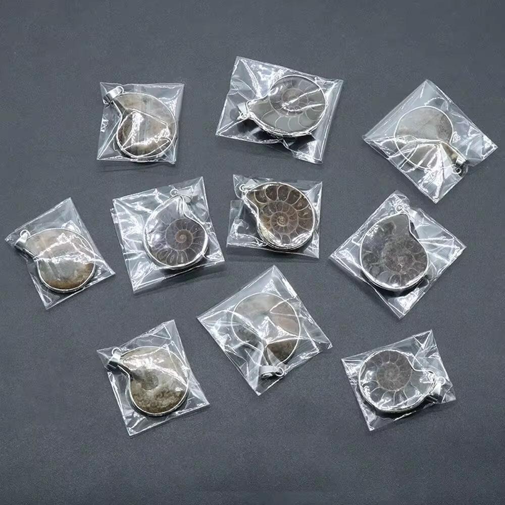 Pingentes de pedras naturais Amonite Seashell Caracol Oceano Reliquiae Concha Charms Jóias Fazendo DIY Animal Colar Acessórios 1pc