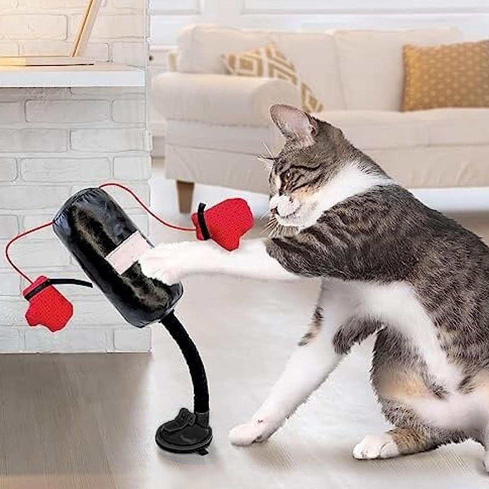 

Игрушка Кошка Боксерская Груша Игрушка Кошка для Бокса Интерактивная Игра Боксерский Набор с Перчатками Снятие Стресса Боксерские Игрушки China Mainland