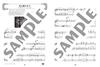 Piano Solo/Duet Piano Play Monster Hunter Hunting Music Collection BEST