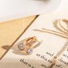 Luxury  Rose Gold Drop Earrings For Women Micro-Wax Inlay Natural Zircon Round Earrings Wedding Fine Daily Jewelry