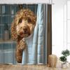 Funny Diving Cat Dog Shower Curtain Cute Cartoon Bathing Animals Sea Turtle Underwater Scenery Kids Bathroom Curtains Decor Set