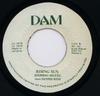 7inch Record STEPPING KING MIGUEL MEET DENNIS RE  Rising Sun NONE DAM 1978 Jamaica Reggae Ska  Dub Used