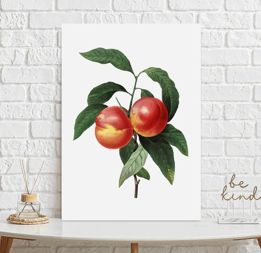Peach Blossom Vintage Poster