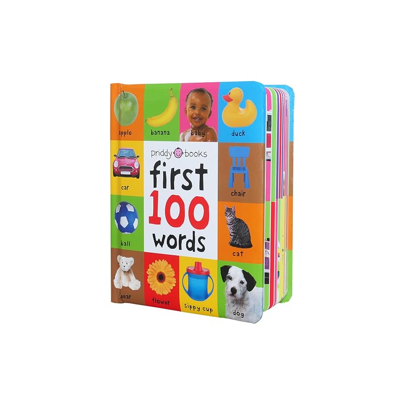 FIRST 100 WORDS(BB) (First 100 Soft To Touch)