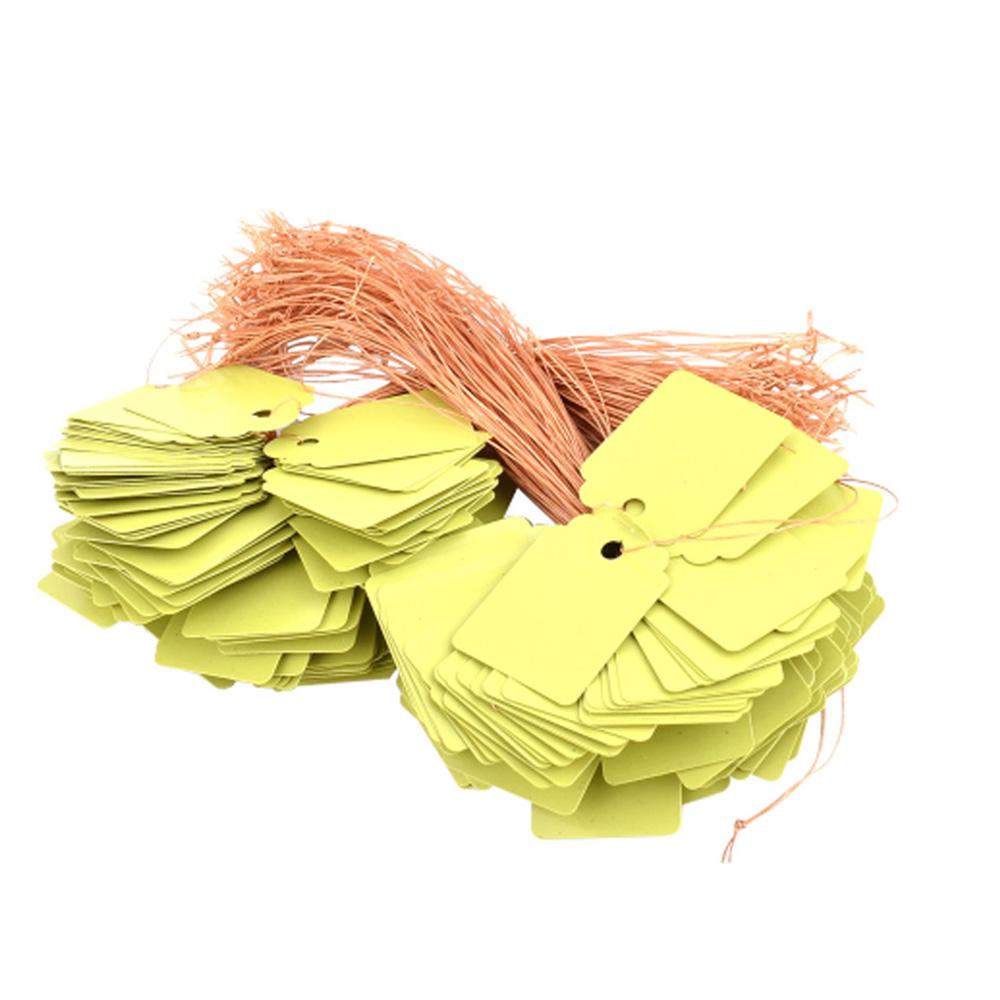 Stylish Plastic Hanging Tags for Gardening Plant Pack of 100 Waterproof Labels