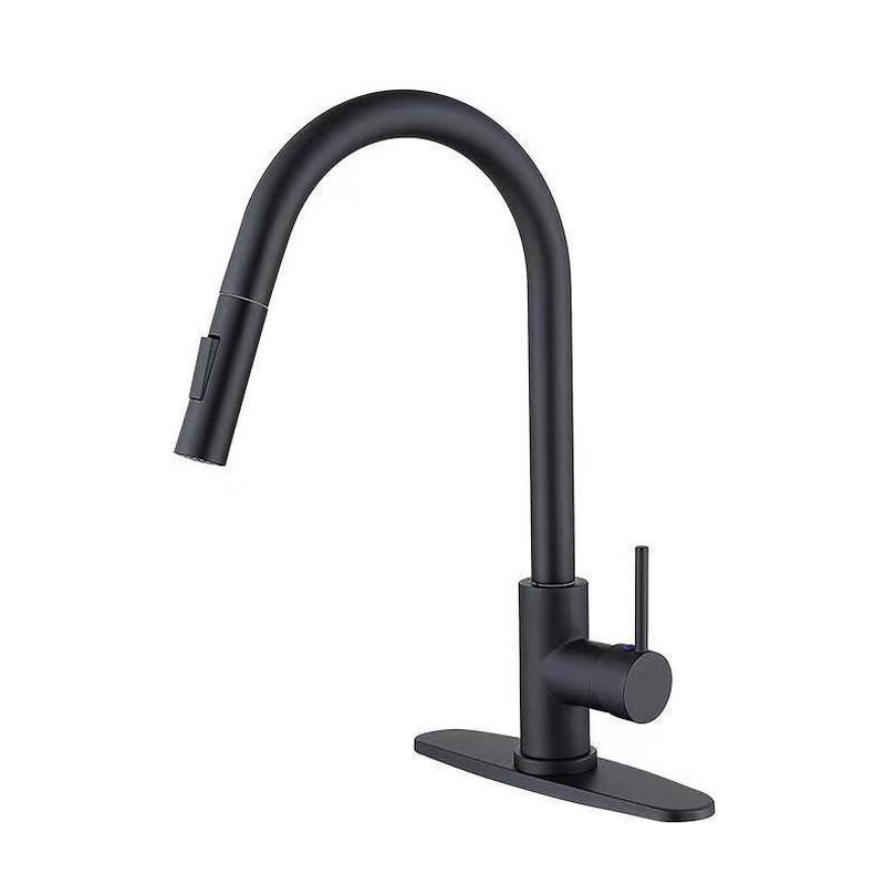 TLXT Black Stainless Steel Pull-Out Kitchen Faucet