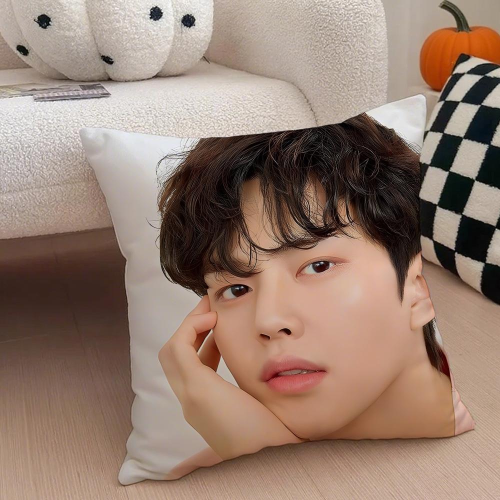 Handsome Charming Korean Actor SSong Kang Cushion Cover Throw Pillow Cover Hidden Button Durable Polyester Chair Cushion