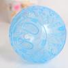 Outdoor 10CM Plastic Sport Ball Grounder Rat Small Pet Rodent Mice Jogging Ball Toy Hamster Gerbil Rat Exercise Balls Play Toys