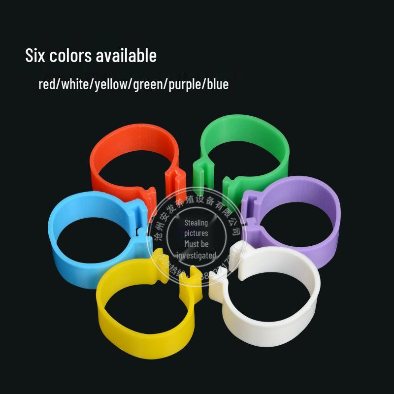 Poultry Leg Rings for Chicken, Duck, Goose - Rare Breeding Buckle Design