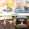 Washable Non-Slip Waterproof Dog Training Pad