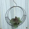 Metal Hanging Baskets Frames For Moon Shaped Wire Wreath Frame Indoor Hanging Basket Stand