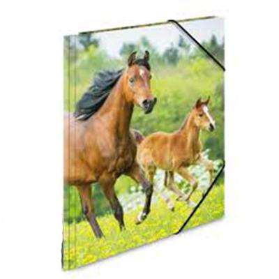 Herma PP-Sammelmappe A4 Tiere (Pferde)