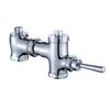 Yidashang Brass Manual Delay Flush Valve for Squat Toilets