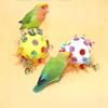 Home Comforts Budgie Animal World Parakeets Blue Bird-20 Inch By 30 Inch Laminated Poster With Bright Colors And Imagery