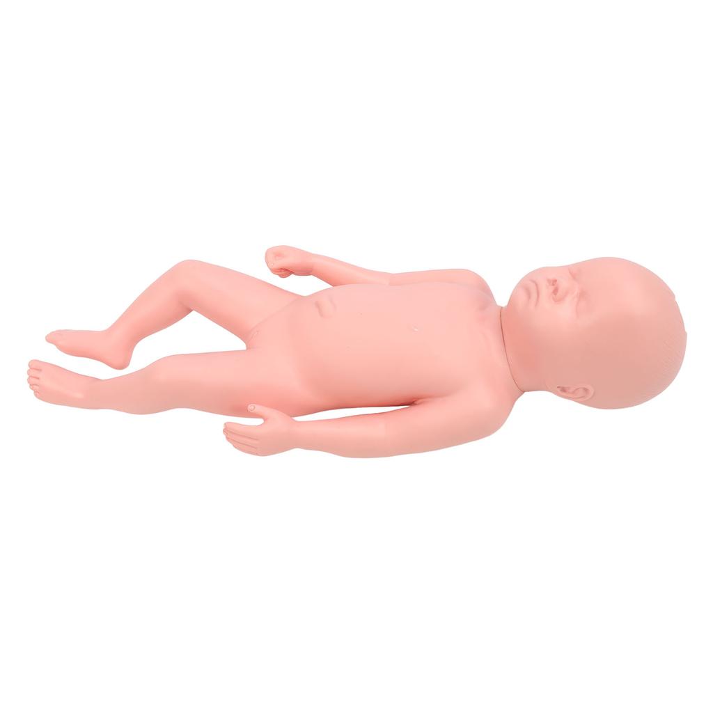 Newborn Model Plastic Educational High Simulation Full Term Baby Simulator Model For Teaching