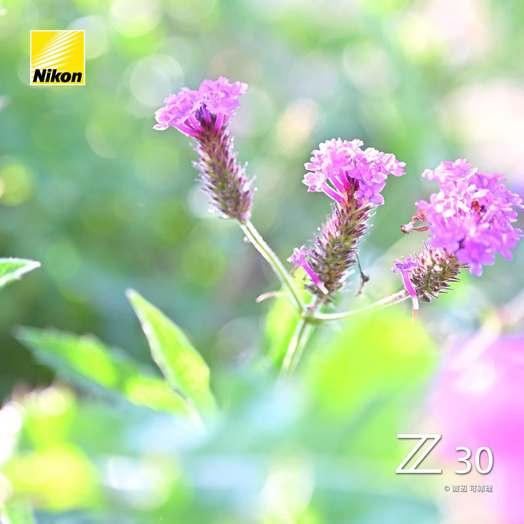 Nikon Z30 Mirrorless Camera with 16-50 VR Lens Kit, Z-Mount APS-C, VideoVlogging, Image Stabilization, Black