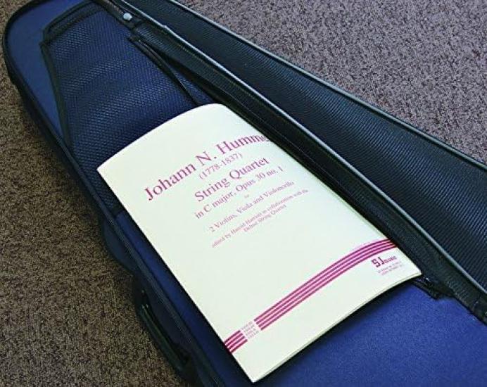 Super Light Triangular Shaped Violin Black Case,