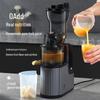 ZISIZ Large Caliber Slow Juicer