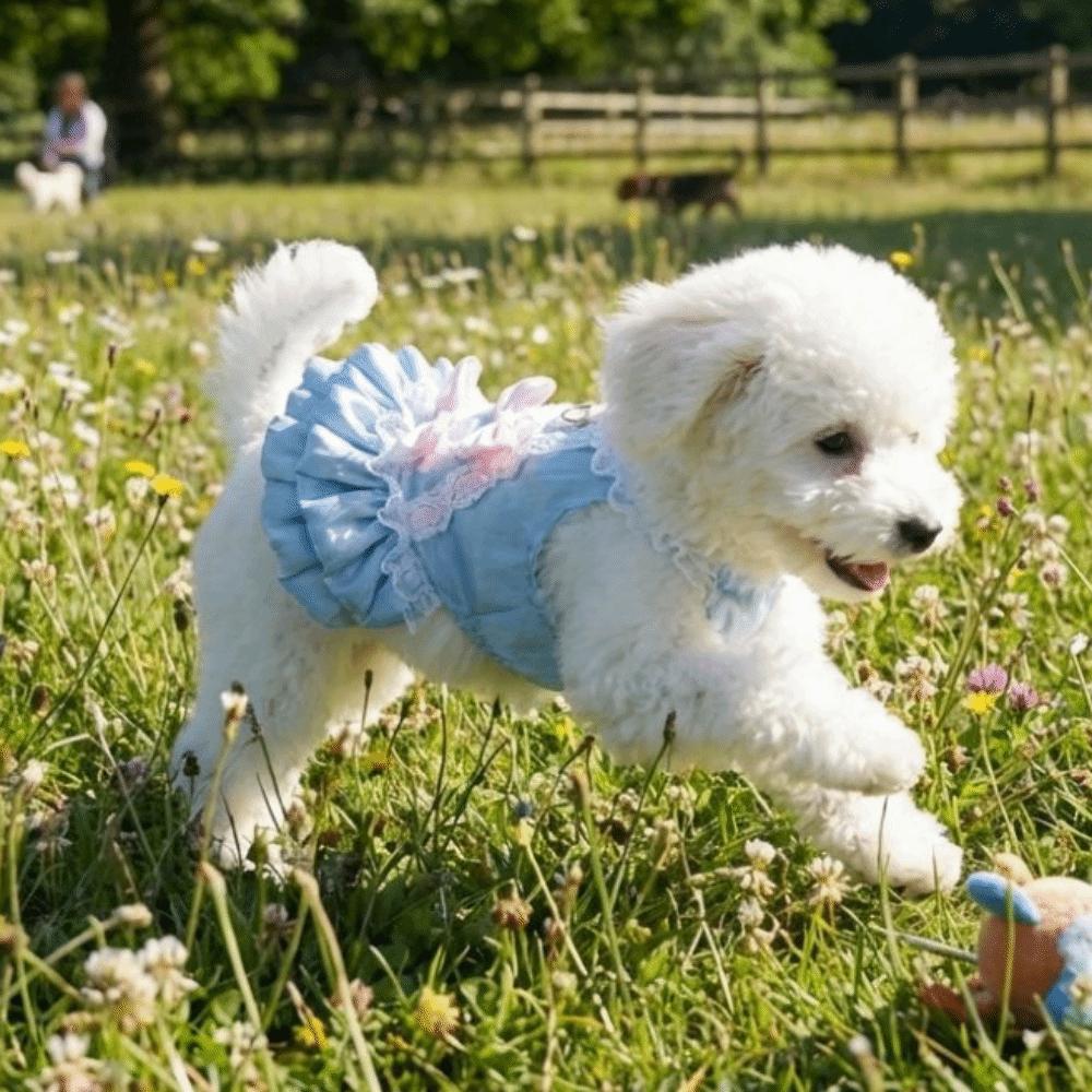 Korean Sweet Dog Princess Dress Lace Strap Bow Knot Pet Lace Dress Romantic Comfortable Pet Suspender Skirt Outdoors Activities