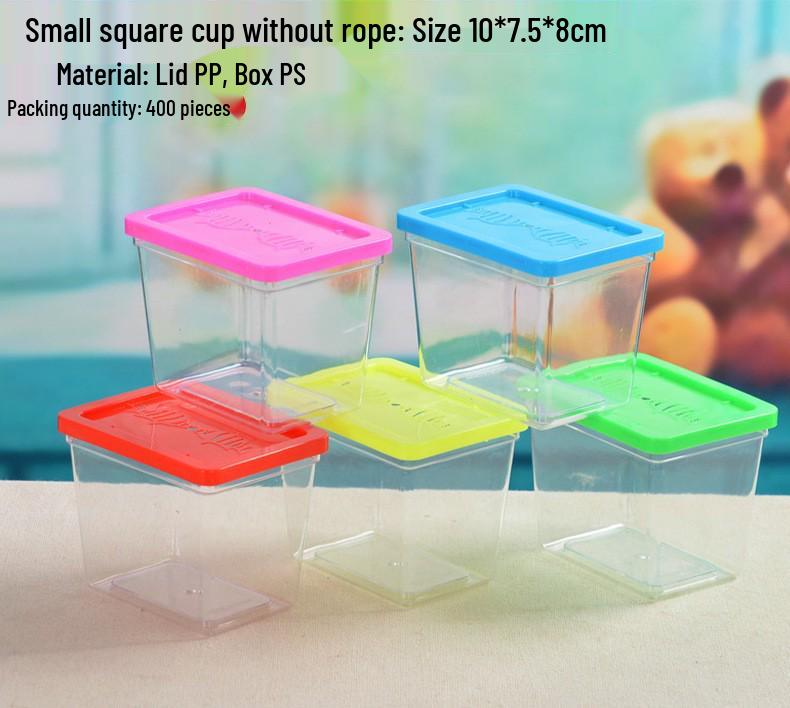Portable Transparent Turtle & Reptile Tank – Small, Medium, Large