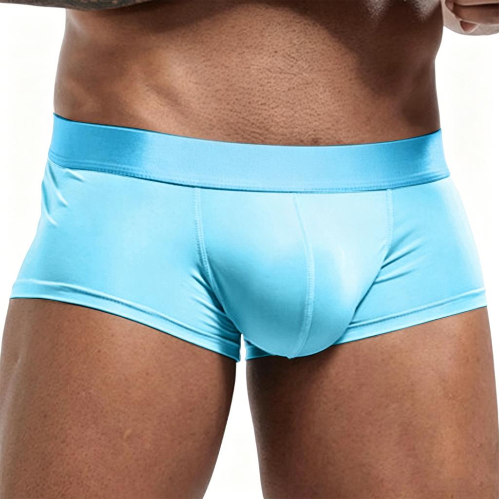 Men's Seamless Ice Silk Underwear Sexy Briefs