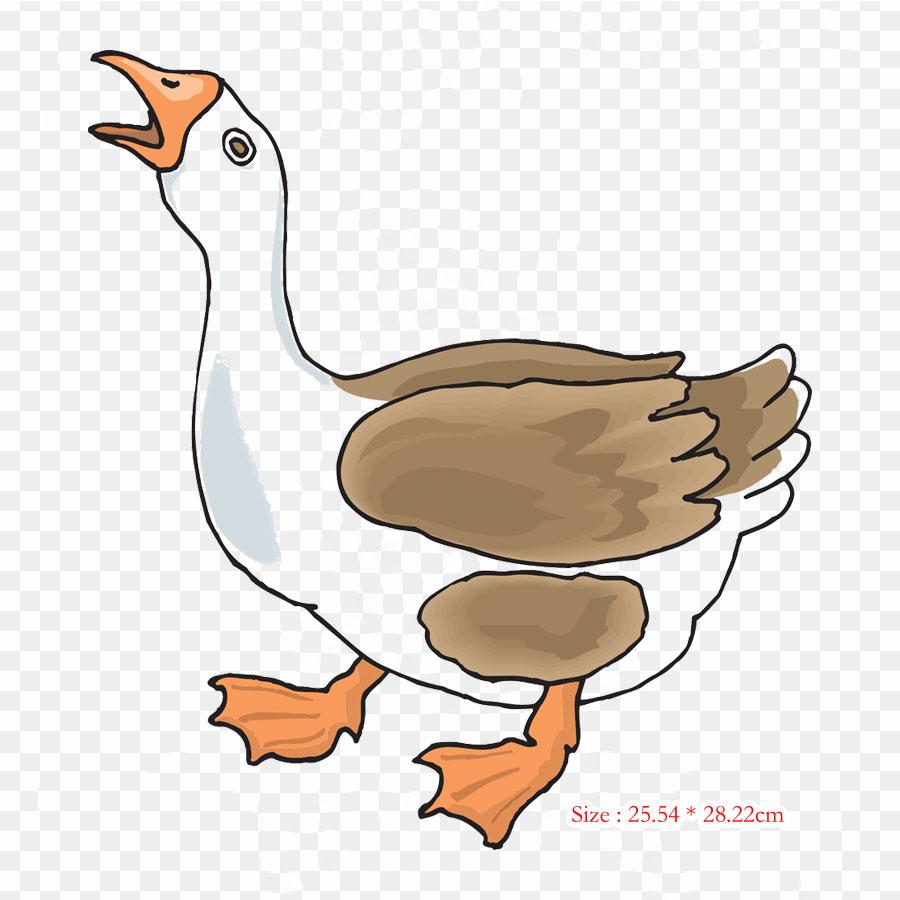 Heterodontosaurus Evolution Iron on Heat Transfer Printing Vinyl Patches Sticker for Clothes DIY Appliques Washable Patches