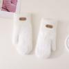 Warm Full Finger Mittens Plush Cycling Driving Gloves Solid Color Solid Color Gloves  Female