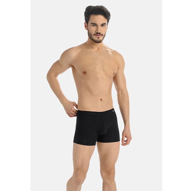 Боксеры Teyli Levi