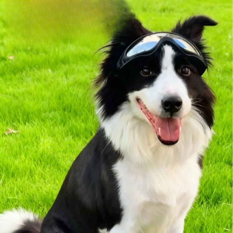 UV400 Anti-Fog Dog Goggles Adjustable Double Strap Windproof Dustproof Pet Sunglasses for Medium Large Dogs Riding Driving