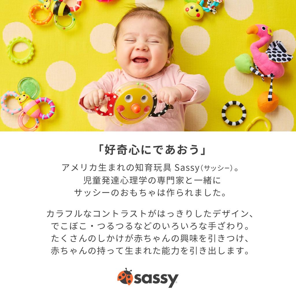 Sassy Spinning Bee a Fun Toy for Babies 6 Months and Perfect for Developing Curiosity and TYSA81003 Spinner, Up, Learning.