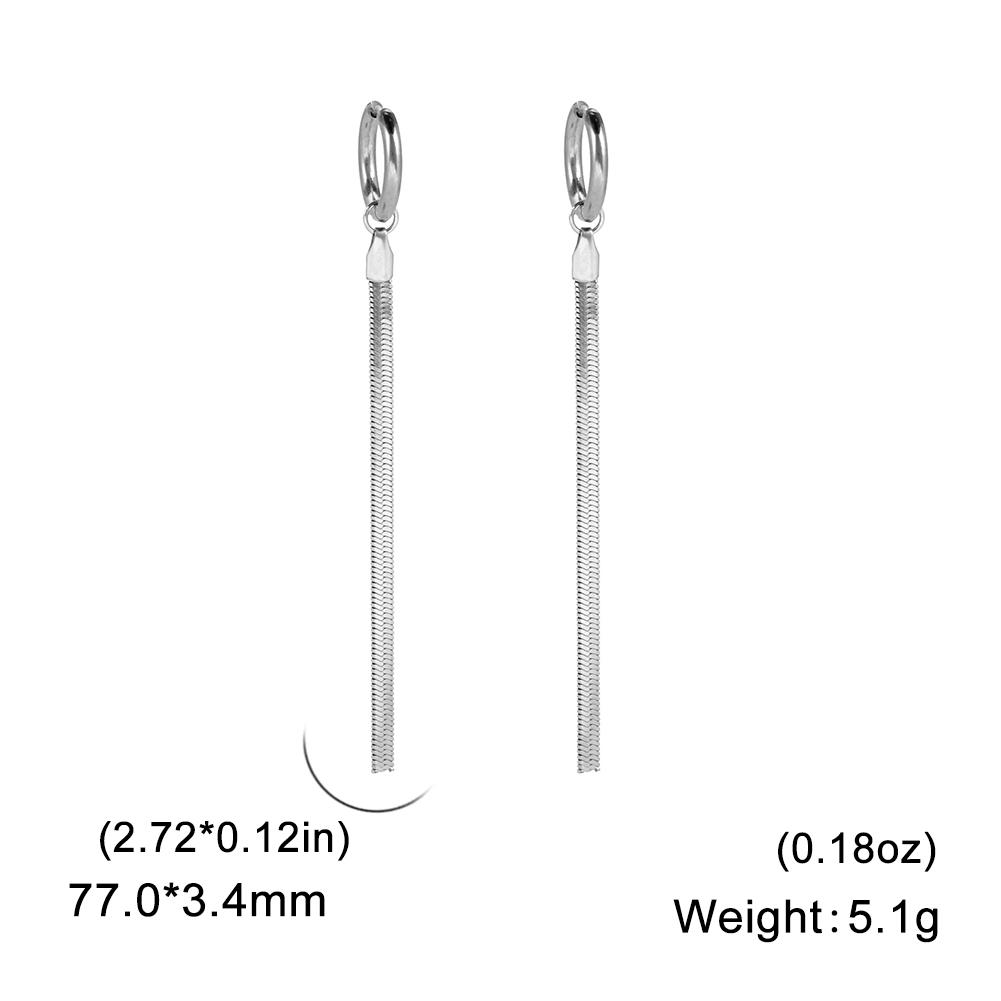 Teamer Stainless Steel Long Tassel Earrings for Women Girls Fashion Snake Chain Drop Earrings Aesthetic Engagement Jewelry Gifts