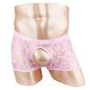 Men Sheer Lace Boxer Shorts Open Front Back See Through Pants Underwear