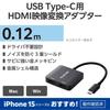 ELECOM USB-C HDMI Conversion 2 Ports (USB C to HDMI 60Hz Conversion Adapter) 0.12m Black [Verified Compatibility with iPhone 16 Series] AD-CHDMI2BK