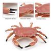 Simulation Animal Model Vivid Intelligence Development Solid Aquarium Miniature Crab Cognition Education Toy for Home
