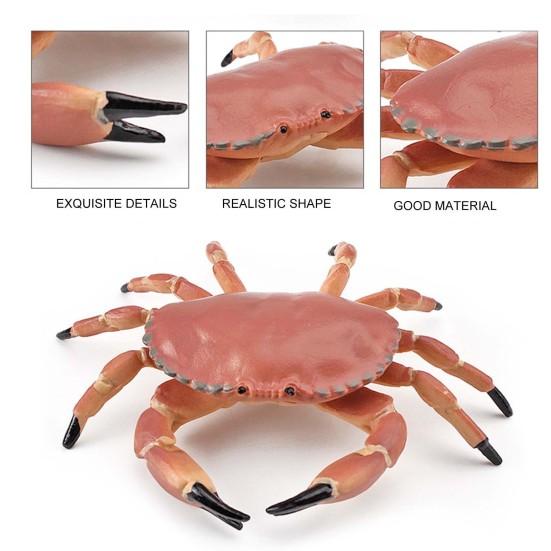 Simulation Animal Model Vivid Intelligence Development Solid Aquarium Miniature Crab Cognition Education Toy for Home