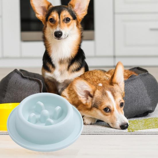 Pet Feeding Bowl Non-Slip Easy To Clean Safe Anti-Choking Cat Dog Slow Food Feeder Bowl Pet Supplies