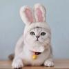 Party With Ears Cosplay Cat Headwear Pet Accessory Rabbit Hat Cat Costume