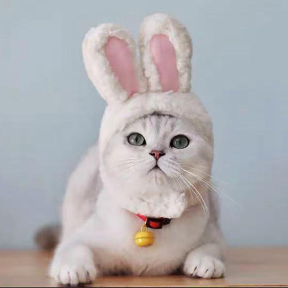 Party With Ears Cosplay Cat Headwear Pet Accessory Rabbit Hat Cat Costume