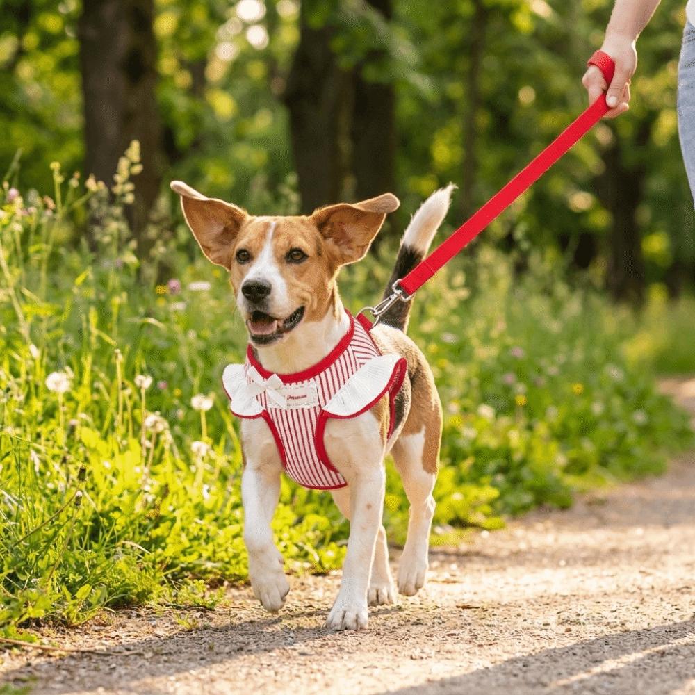 Adjustable Pet Harness Leash Comfortable Fit Dog Collar Harness Set Dog Chest Strap Daily Use