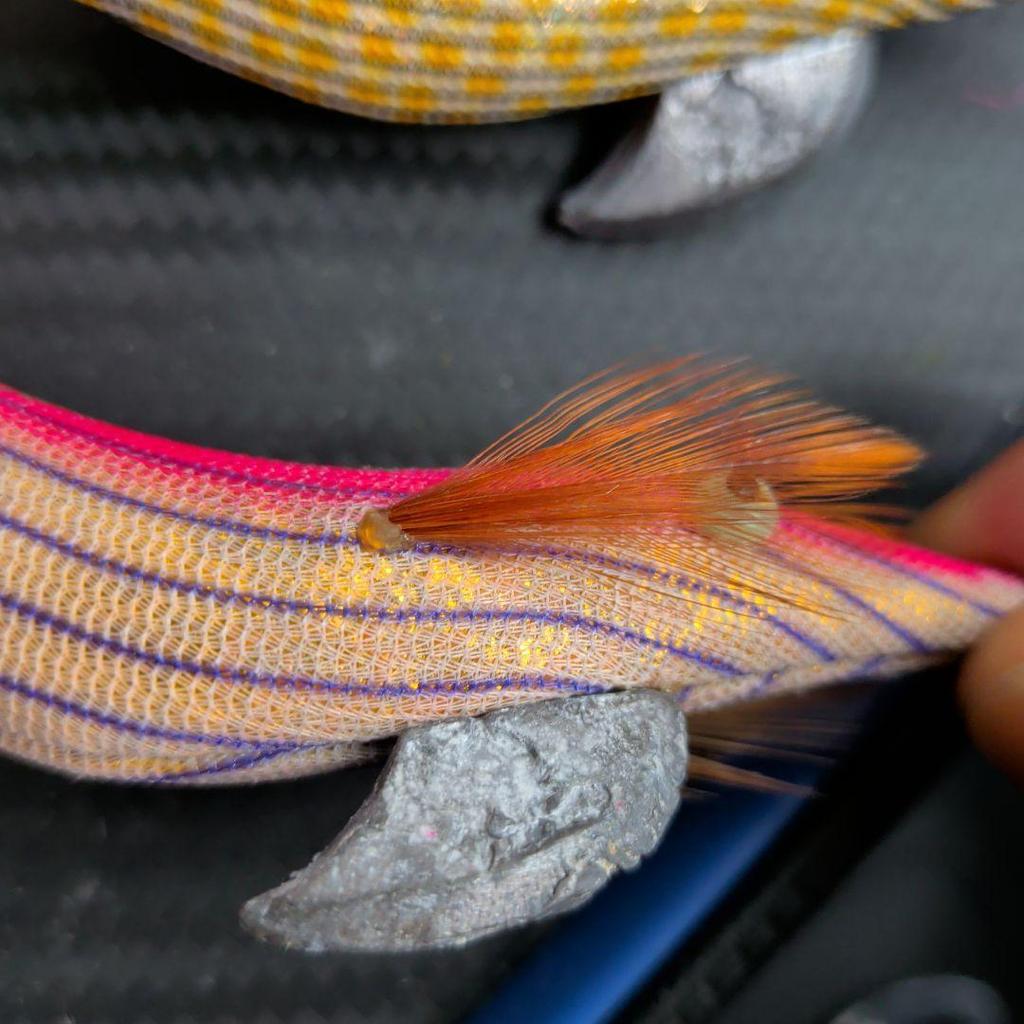 Used Kochi prefecture's bait tree monkey 3.5 size 3