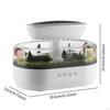 Micro Landscape Essential Oil Diffuser Raindrop Air Humidifier Water Drip Effect Aroma